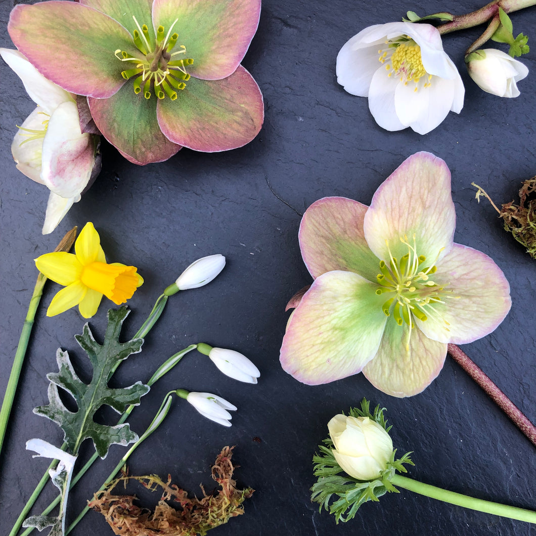 FORGED+FLOWERS: Spring vase arrangement workshop 2026